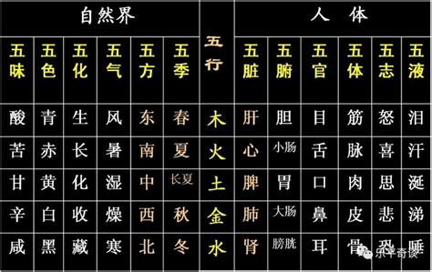 霖 五行|霖字的五行属性